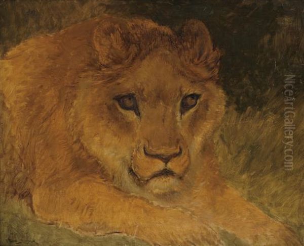 Lion Oil Painting by Rosa Bonheur