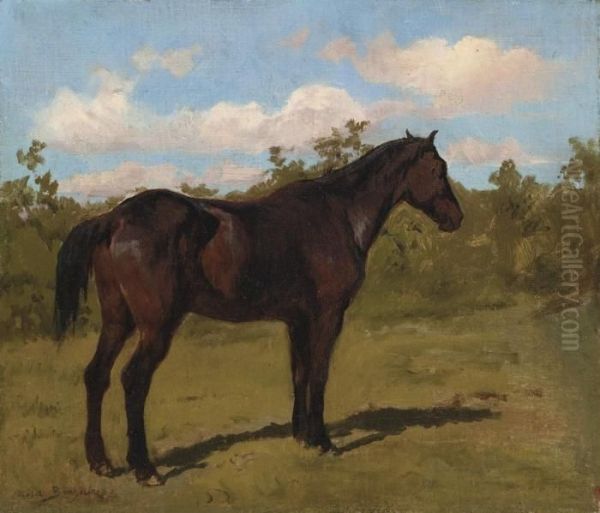 Etude De Cheval Oil Painting by Rosa Bonheur