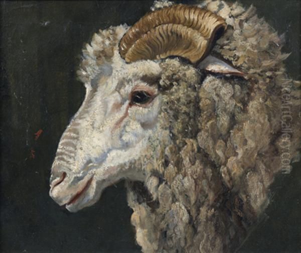 Une Tete De Belier Espagnol Oil Painting by Rosa Bonheur