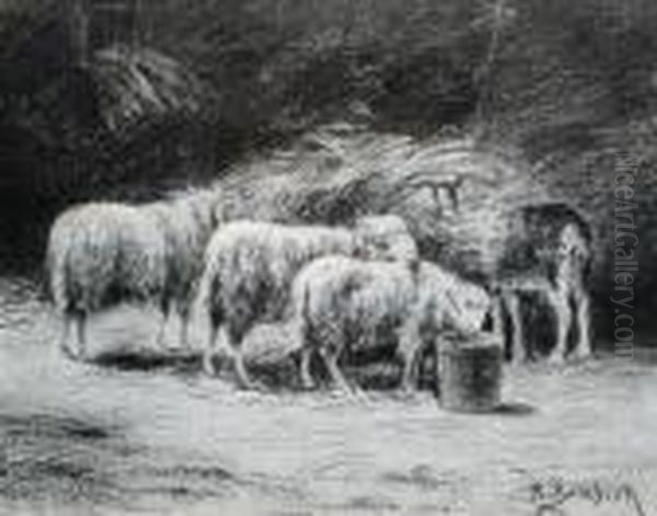 A Study Of Sheep Oil Painting by Rosa Bonheur