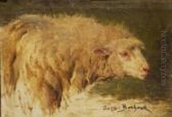 Ritratto Di Pecora Oil Painting by Rosa Bonheur