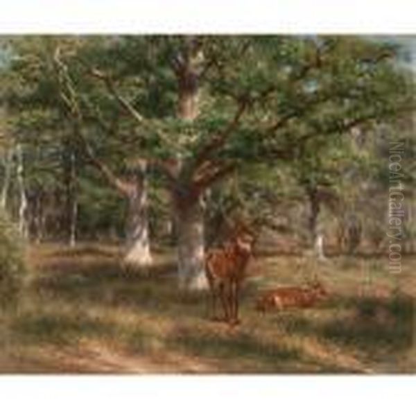 Two Deer In A Forest Glade Oil Painting by Rosa Bonheur