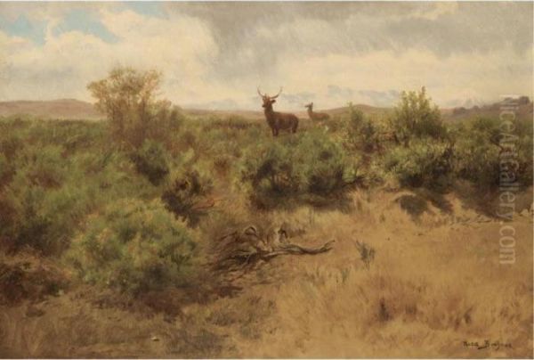 Stag And Doe In A Landscape Oil Painting by Rosa Bonheur