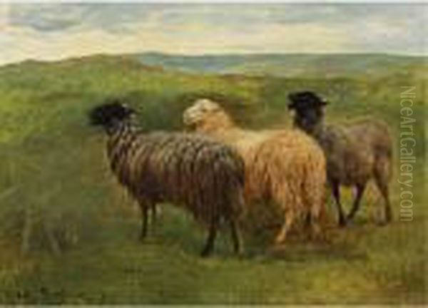 Three Sheep In A Landscape Oil Painting by Rosa Bonheur