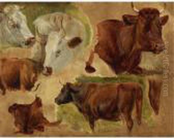 Studies Of Standing Bulls Oil Painting by Rosa Bonheur