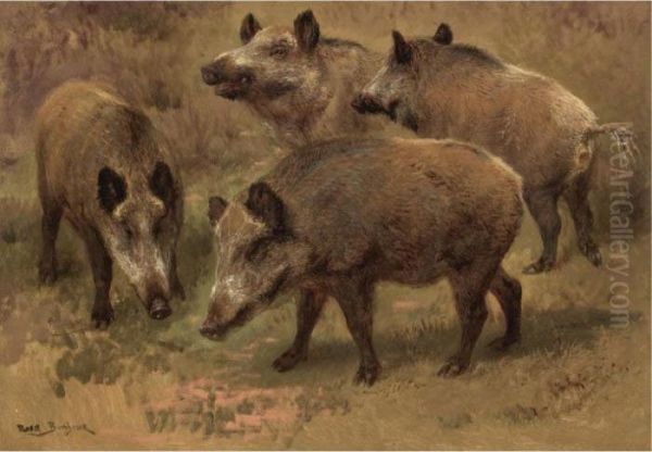 Four Boars In A Landscape Oil Painting by Rosa Bonheur