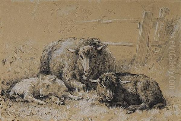 Sheep Resting In A Field Oil Painting by Rosa Bonheur