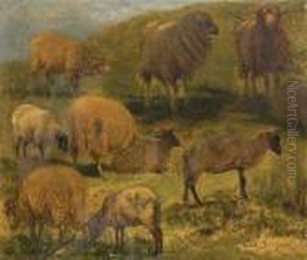 Estudio De Ovejas Oil Painting by Rosa Bonheur