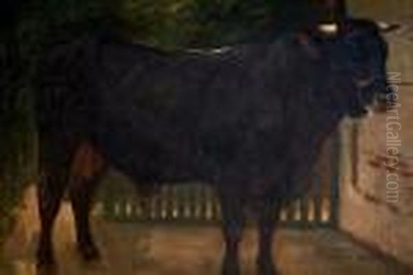 A Bull Tethered To A Wall Oil Painting by Rosa Bonheur