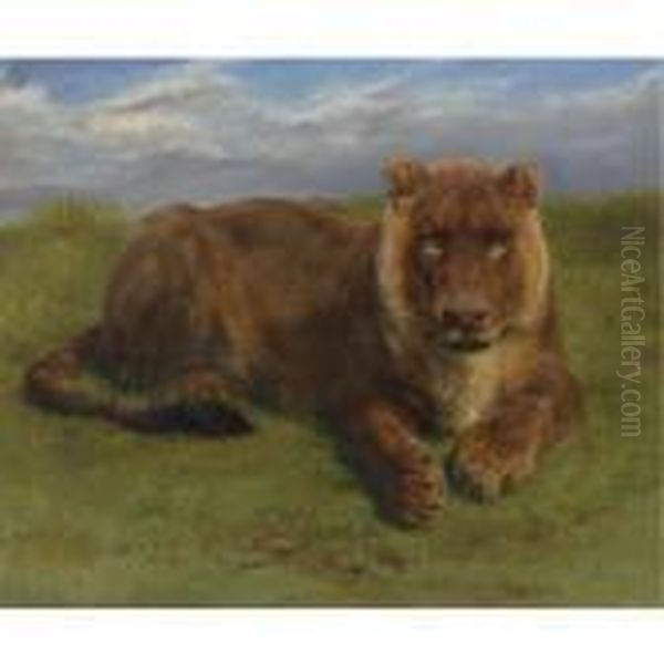 Lioness At Rest Oil Painting by Rosa Bonheur