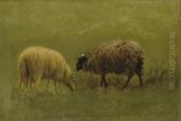 Etude De Moutons Oil Painting by Rosa Bonheur