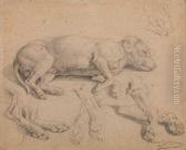 Studies Of A Sleeping Dog Oil Painting by Rosa Bonheur