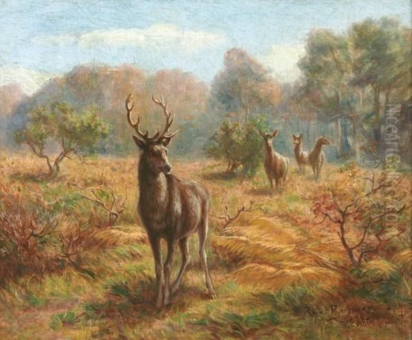 Cerf Et Biches Dans La Clairiere Oil Painting by Rosa Bonheur