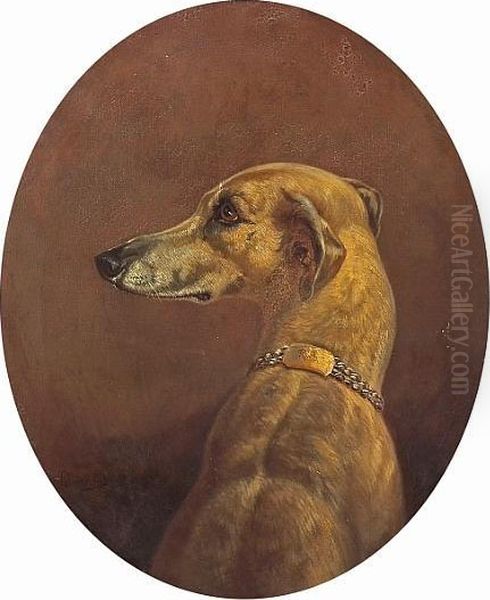 A Study Of An Italian Greyhound Oil Painting by Rosa Bonheur