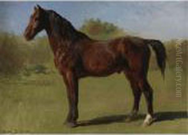 Study Of A Brown Bay Horse Oil Painting by Rosa Bonheur