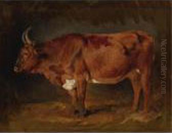 A Brown Cow In Profile Oil Painting by Rosa Bonheur