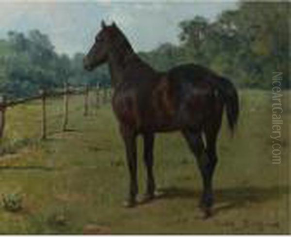 A Bay Horse In A Paddock Oil Painting by Rosa Bonheur