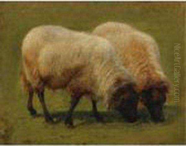 Two Black Face Sheep Grazing Oil Painting by Rosa Bonheur