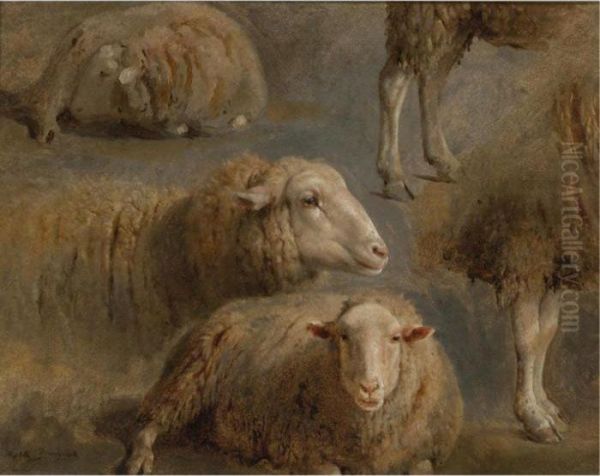 A Study Of Sheep Oil Painting by Rosa Bonheur