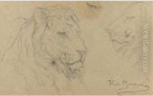 Studies Of A Lion's Head Oil Painting by Rosa Bonheur