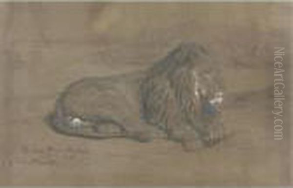 A Seated Lion Oil Painting by Rosa Bonheur