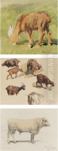 Study Of A Goat, Goats Grazing And Study Of A Bull Seen From The Side (three Works) Oil Painting by Rosa Bonheur