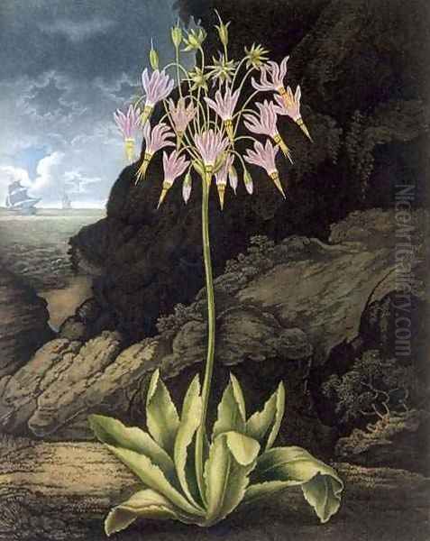 The American Cowslip Oil Painting by Henderson, Peter Charles