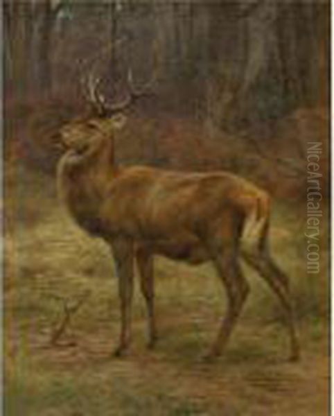 Stag In An Autumn Landscape Oil Painting by Rosa Bonheur