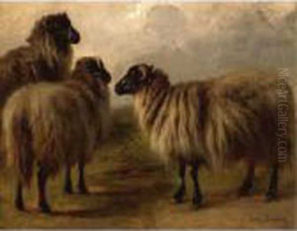 Three Wooly Sheep Oil Painting by Rosa Bonheur