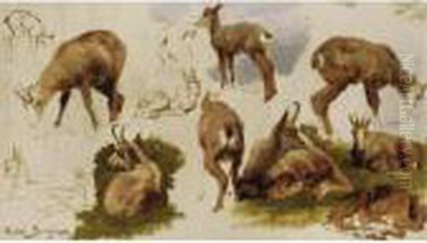 Studies Of An Isard Oil Painting by Rosa Bonheur