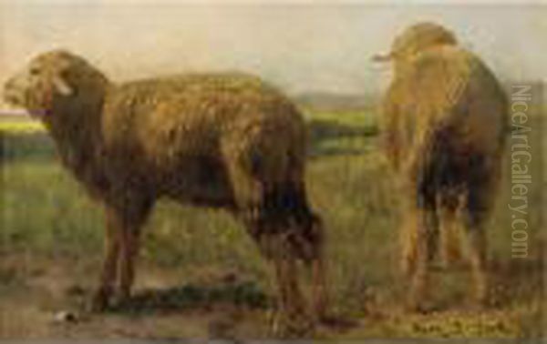 Sheep In A Meadow Oil Painting by Rosa Bonheur