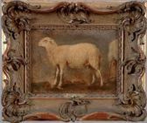 Etude De Mouton Oil Painting by Rosa Bonheur