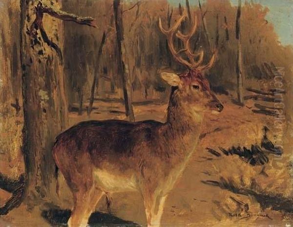 Stag In The Forest Oil Painting by Rosa Bonheur