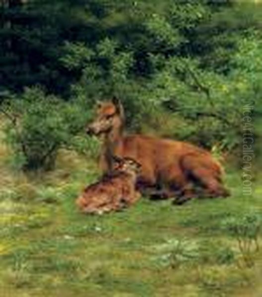 Biche Et Faon Dans Un Sous-bois Oil Painting by Rosa Bonheur