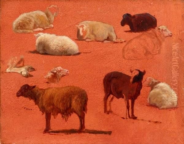 Untitled (sketches Of Sheep) Oil Painting by Rosa Bonheur