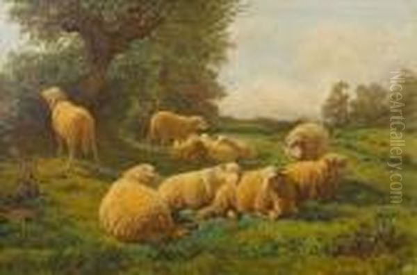 Sheep At Rest In A Meadow Oil Painting by Rosa Bonheur