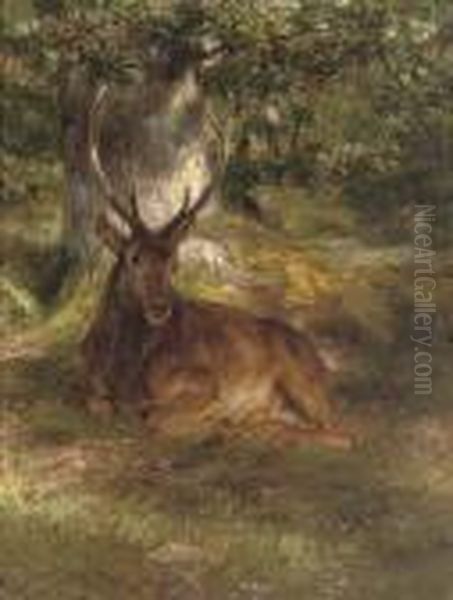 A Stag In A Forest Oil Painting by Rosa Bonheur