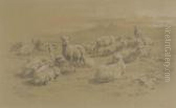 A Herd Of Resting Sheep Oil Painting by Rosa Bonheur