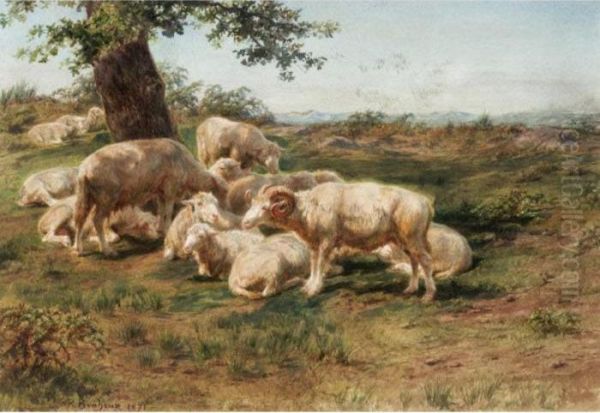 Sheep In The Pasture Oil Painting by Rosa Bonheur