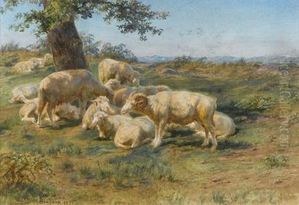 Sheeps In The Pasture Oil Painting by Rosa Bonheur