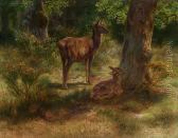 Deer And Fawn In A Wood Oil Painting by Rosa Bonheur