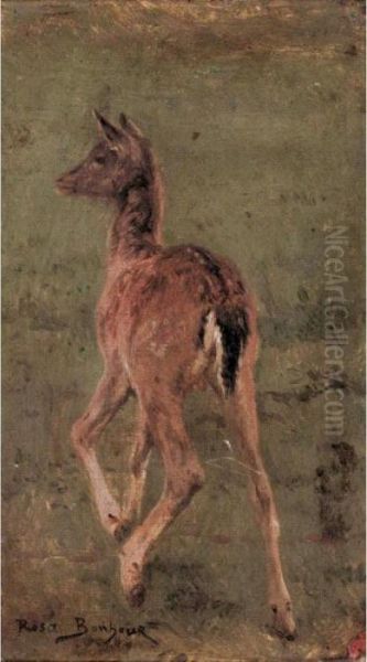 Study Of A Deer Oil Painting by Rosa Bonheur