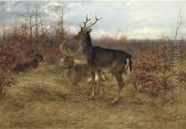 Three Stags In A Woodland Oil Painting by Rosa Bonheur