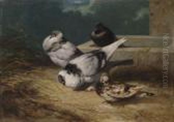 Les Pigeons Oil Painting by Rosa Bonheur