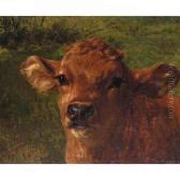 Tete De Veau Oil Painting by Rosa Bonheur