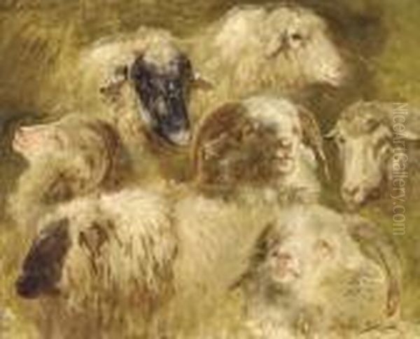 Tetes De Moutons Et Beliers Oil Painting by Rosa Bonheur