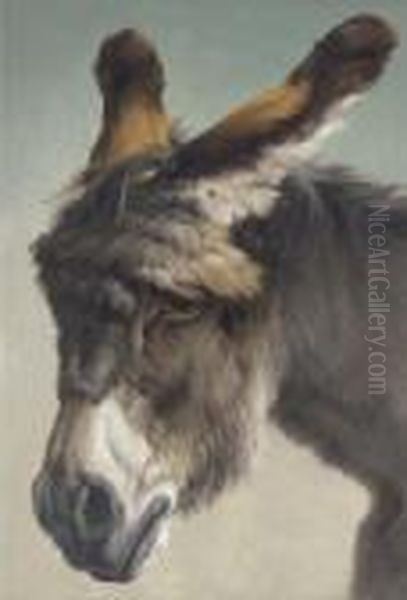 The Forlorn Donkey Oil Painting by Rosa Bonheur