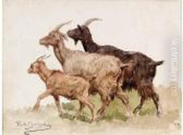 Three Goats Oil Painting by Rosa Bonheur