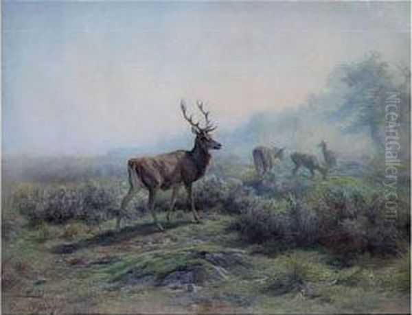 The Deer, Morning Effect (les Cerfs, Effet Du Matin) Oil Painting by Rosa Bonheur