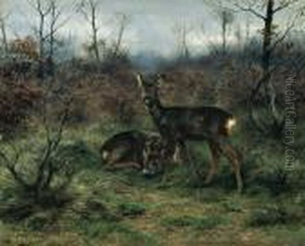 Young Deer In A Forest Clearing Oil Painting by Rosa Bonheur